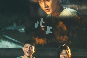 剧情国产,国破山河在